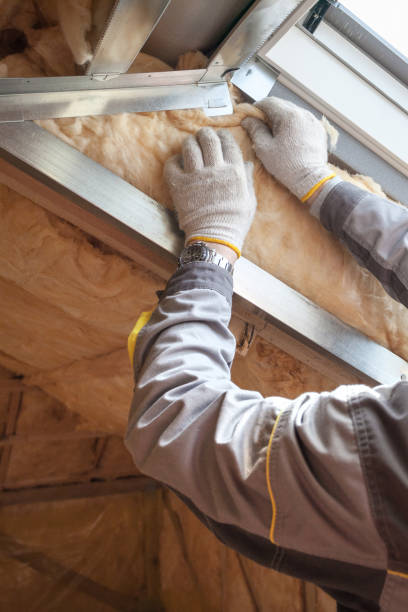 Professional Insulation in Ormond By The Sea, FL